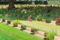 Grave Stone at World War II Cemetery. Royalty Free Stock Photo