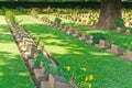 Grave Stone at World War II Cemetery. Royalty Free Stock Photo