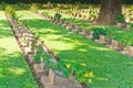 Grave Stone at World War II Cemetery. Royalty Free Stock Photo