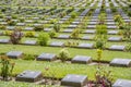 Grave Stone at World War II Cemetery, Kanchanaburi, Thailand Royalty Free Stock Photo