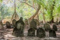Grave stones at ancient creepy abandoned maldivian cemetery in the jungles at the island Manadhoo the capital of Noonu atoll