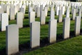 Grave stones remember