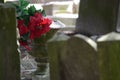 Grave vase. Royalty Free Stock Photo