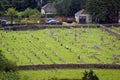 The Grave yard Royalty Free Stock Photo