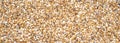 Gravel background pea rock texture banner Royalty Free Stock Photo