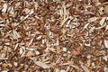 Gravel Bark And Wood Chip Background