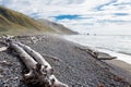 Gravel beach and driftwood in Gore Bay, NZ