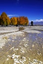 Gravel Beach Royalty Free Stock Photo