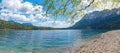 Gravel beach at lake shore Eibsee, birch tree with green leaves, zugspitze mountain bavarian alps