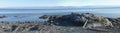 Gravel beach with spectacular panoramic view of mountain range