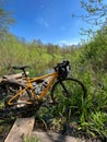 Gravel bicycle in the city park on the spring season