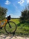 Gravel bicycle in the city park on the summer season