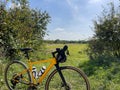 Gravel bicycle in the city park on the summer season