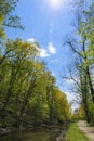 Lush green leaves adorn tall trees that run along the C&O Canal and the Potomac River. Royalty Free Stock Photo