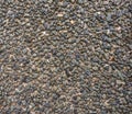 Gravel cemented flooring ground.