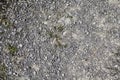 Gravel Royalty Free Stock Photo