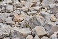 Gravel, coarse gravel and stones, as backgrounds or patterns, close-up Royalty Free Stock Photo