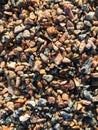 Gravel consisting of a large variety of multi-colored stones of very small size.