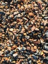 Gravel consisting of a large variety of multi-colored stones of very small size.