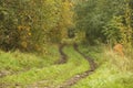 Gravel country road in green forest Royalty Free Stock Photo