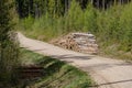 gravel country road in green forest with tree trunks in large piles on the side Royalty Free Stock Photo