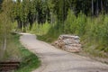 gravel country road in green forest with tree trunks in large piles on the side Royalty Free Stock Photo