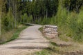 gravel country road in green forest with tree trunks in large piles on the side Royalty Free Stock Photo