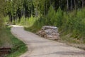 gravel country road in green forest with tree trunks in large piles on the side Royalty Free Stock Photo