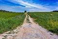 Gravel country road leading through meadows and fields to the horizon under a blue sky with clouds, rural landscape in central Royalty Free Stock Photo