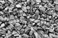 Gravel, crushed stone. Texture of rubble Construction material
