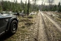 gravel dirt road in the forest Royalty Free Stock Photo