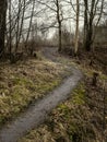 gravel dirt road in the forest Royalty Free Stock Photo