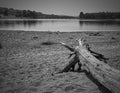 Gravel on the edge of the lake. Royalty Free Stock Photo