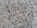 gravel floor on the terrace of the house