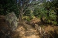 Gravel footpath in the Ritsurin Koen-Chestnut Grove Garden between bamboo fences Royalty Free Stock Photo