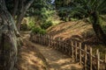 Gravel footpath in the Ritsurin Koen-Chestnut Grove Garden between bamboo fences Royalty Free Stock Photo