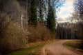 Gravel forest roads in found in Latvia Royalty Free Stock Photo