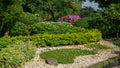 Gravel garden decorated white gravel, rock, stone and green leaves plant Royalty Free Stock Photo