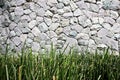 Gravel and grass Royalty Free Stock Photo