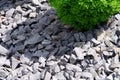 Close-up in the rock garden with ornamental gravel and a green plant Royalty Free Stock Photo