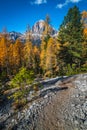 Gravel hiking trail in the colorful autumn forest, Dolomites, Italy Royalty Free Stock Photo