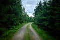 A gravel hiking trail. Dense forest with road Royalty Free Stock Photo