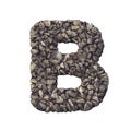 Gravel letter B - Capital 3d crushed rock font - nature, environment, building materials or real estate concept