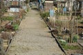 A gravel path in allotment garden colony in spring in village Urdorf in Switzerland Royalty Free Stock Photo