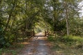 Gravel Path Along the Cascade Trail