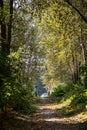 Gravel Path Along the Cascade Trail