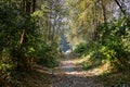 Gravel Path Along the Cascade Trail