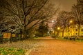 Gravel path at a city park at night Royalty Free Stock Photo