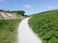 Gravel path through the Dutch dunes