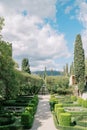 Gravel path in a green garden with artfully trimmed bushes Royalty Free Stock Photo